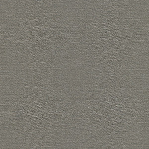 Equilibrium-Nj # 242 Griffin by Maxwell Designer Fabric