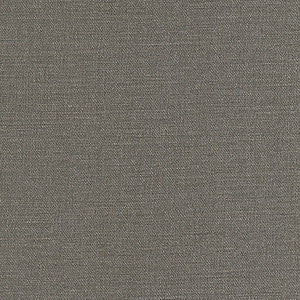 Equilibrium-Nj # 243 Gargoyle by Maxwell Designer Fabric