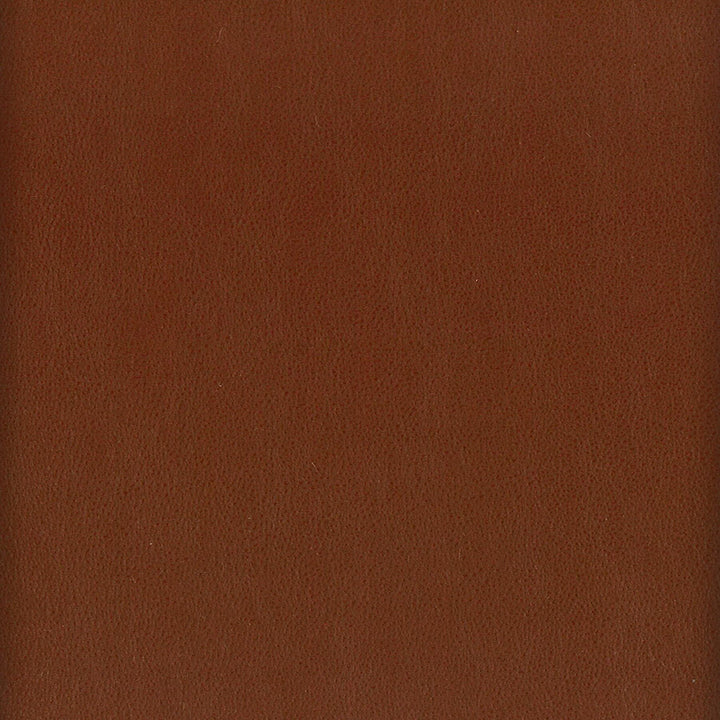 Elbert 10 Nutmeg by Stout Designer Fabric LEATHER LOOKS III PERFORMANCE 70%PVC 25%POL 5%POU CHINA PERFORMANCE RATED FABRIC CATB 117-2013 WYZENBEEK 80 000 DOUBLE RUB WEAR TEST (HEAVY DUTY) </p><p>Repeat: 0 54 in - Swanky Fabrics -