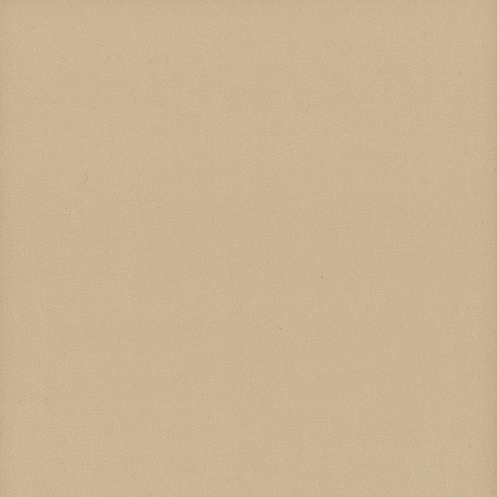 Elbert 11 Biscuit by Stout Designer Fabric LEATHER LOOKS III PERFORMANCE 70%PVC 25%POL 5%POU CHINA PERFORMANCE RATED FABRIC CATB 117-2013 WYZENBEEK 80 000 DOUBLE RUB WEAR TEST (HEAVY DUTY) Horizontal: 0 and Vertical: 0 54 in - Swanky Fabrics -