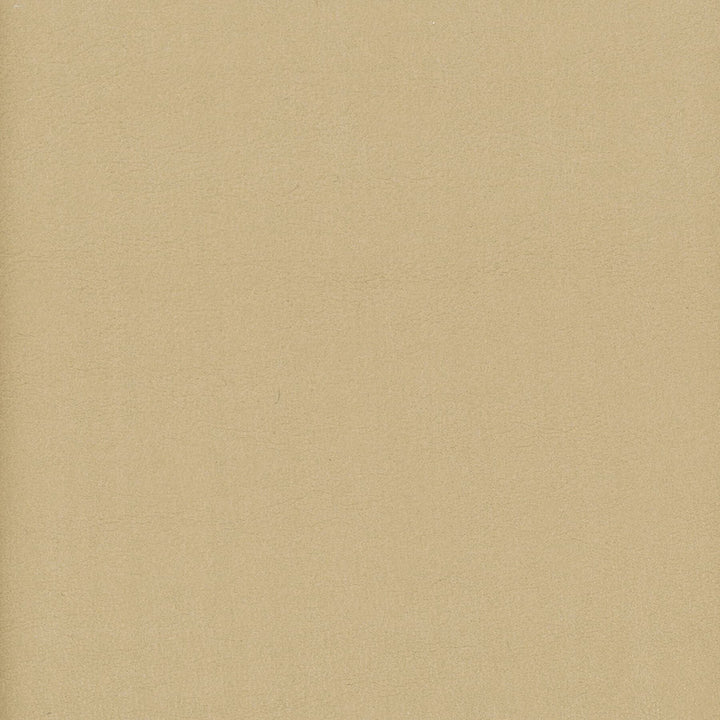 Elbert 12 Jute by Stout Designer Fabric Leather Looks Iii Performance 70% Polyvinylchloride 25% Polyester 5% Polyurethane CHINA PERFORMANCE RATED FABRIC CATB 117-2013 WYZENBEEK 80 000 DOUBLE RUB WEAR TEST (HEAVY DUTY) Horizontal: 0 and Vertical: 0 54 in - Swanky Fabrics -