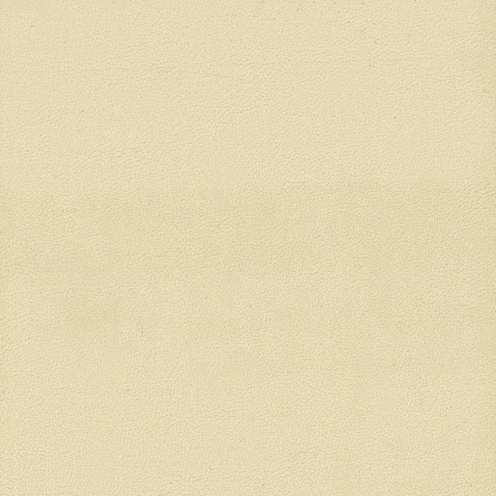 Elbert 1 Parchment by Stout Designer Fabric Leather Looks Iii Performance 70% Polyvinylchloride 25% Polyester 5% Polyurethane CHINA PERFORMANCE RATED FABRIC CATB 117-2013 WYZENBEEK 80 000 DOUBLE RUB WEAR TEST (HEAVY DUTY) Horizontal: 0 and Vertical: 0 54 in - Swanky Fabrics -