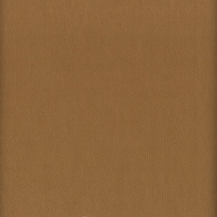 Elbert 3 Nut by Stout Designer Fabric LEATHER LOOKS III PERFORMANCE 70%PVC 25%POL 5%POU CHINA PERFORMANCE RATED FABRIC CATB 117-2013 WYZENBEEK 80 000 DOUBLE RUB WEAR TEST (HEAVY DUTY) Horizontal: 0 and Vertical: 0 54 in - Swanky Fabrics -