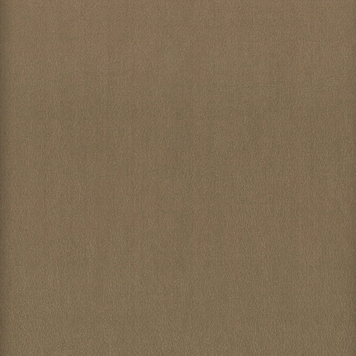Elbert 6 Shadow by Stout Fabric Stout Fabric Elbert 6 ShadowFabric LEATHER LOOKS III PERFORMANCE CHINA </p><p>Repeat: H: 0.000, V: 0.000 54 in - Fabric Carolina -
