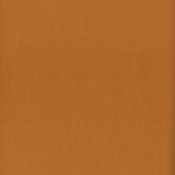 Elbert 8 Cashew by Stout Designer Fabric LEATHER LOOKS III PERFORMANCE 70%PVC 25%POL 5%POU CHINA WYZENBEEK 100 000 DOUBLE RUB WEAR TEST (HEAVY DUTY) FLAME RETARDANT-U.F.A.C. CLASS 1 CATB 117-2013 Horizontal: 0.000 and Vertical: 0.000 54 in - Swanky Fabrics -
