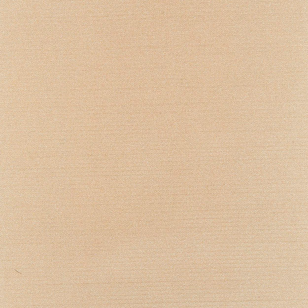 ELEANOR 13J7561 by JF Designer Fabric WINNING WINDOWS VERMONT 53% Polyester, 47% Cotton CHINA ABRASIO (HEAVY DUTY- 30,000+ DOUBLE RUBS) Horizontal: N/A and Vertical: N/A 55.00 - Swanky Fabrics -