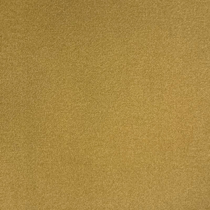 Emi Lion by Magnolia Designer Fabric - 100% Poly China 50000 Horizontal: 0 and Vertical: 0 56" - Swanky Fabrics -