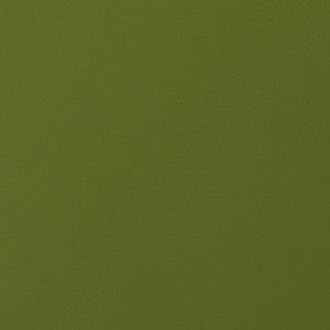 Envision 016 Kiwi by ABBEYSHEA Designer Fabric