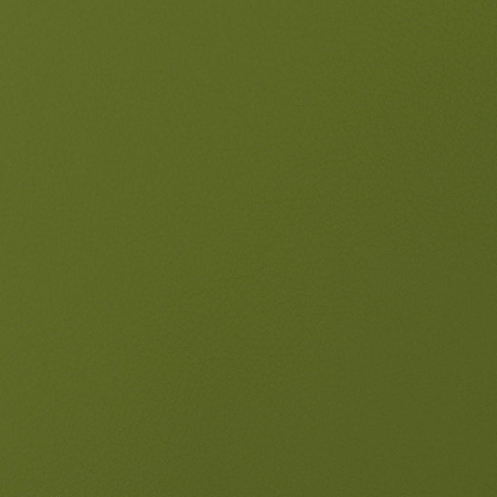 Envision 016 Kiwi by ABBEYSHEA Designer Fabric 100% Sio Silicone China 225,000 Double Rubs (Wyzenbeek) </p><p>Repeat: Horizontal: and Vertical: 54" (137 cm) - Swanky Fabrics -