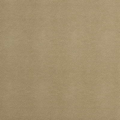 Epitome Putty by Kravet Couture Fabric Kravet Couture Fabric Epitome PuttyFabric NYLON - 100% United States </p><p>Repeat: H: 3.2, V: 4.5 54 - Fabric Carolina -