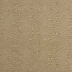 Epitome Putty by Kravet Couture Designer Fabric