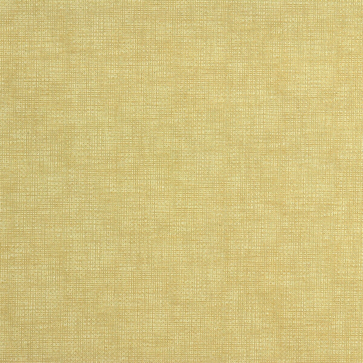 Etching Creme by Kravet Couture Designer Fabric NYLON - 100% United States HEAVY Horizontal: 0 and Vertical: 0 54 - Swanky Fabrics -