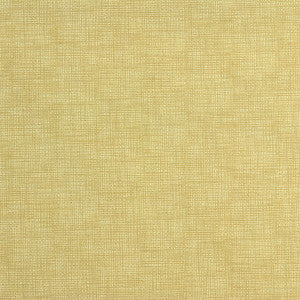 Etching Creme by Kravet Couture Designer Fabric
