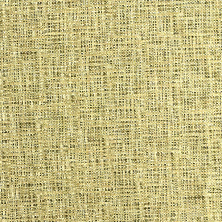 Etching Gold by Kravet Couture Designer Fabric - NYLON - 100% United States HEAVY Horizontal: 0 and Vertical: 0 54 - Swanky Fabrics -