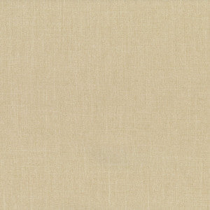Euphoria 605 Canvas by Abbeyshea Designer Fabric