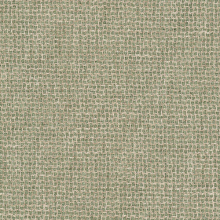 Eureka 3 Pistachio by Stout Fabric Stout Fabric Eureka 3 PistachioFabric RAINBOW LIBRARY SAGE/CYPRESS 100%POL INDIA </p><p>Repeat: H: 0.500, V: 0.500 54 in - Fabric Carolina -