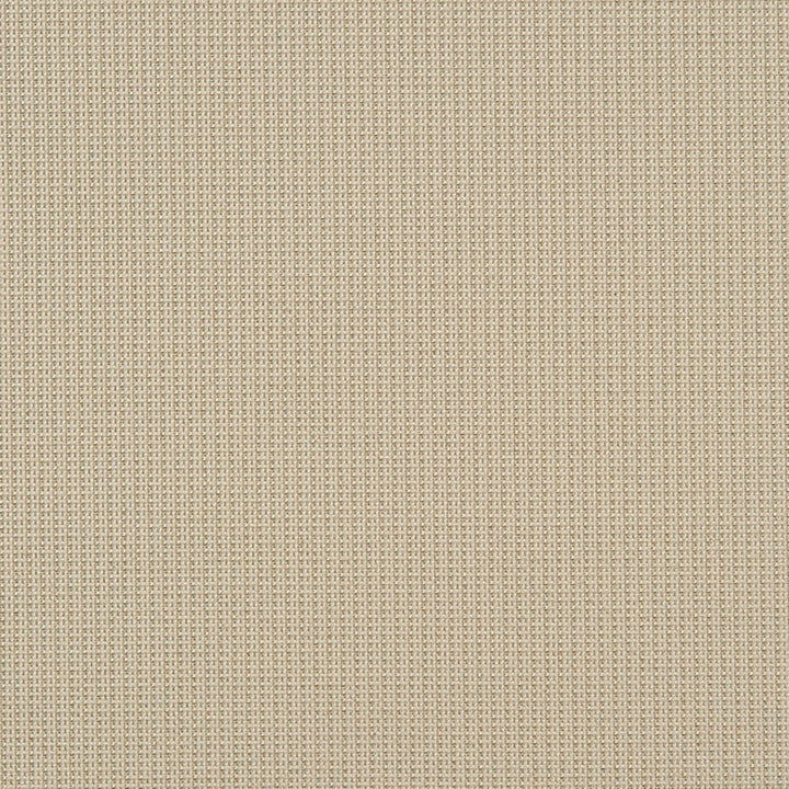 Eva 34J7031 by JF Crypton Designer Fabric Crypton Binder 100% Polyester United States 50000 Horizontal: and Vertical: 54 - Swanky Fabrics -