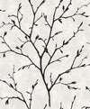 Avena Branches Contrast EW10200 by Seabrook Designs Designer Wallpaper