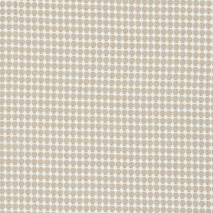 Eyelet 31J8201 by JF Designer Fabric Ambrosia 100% Cotton India Horizontal: 0.5 and Vertical: 0.5 54 - Swanky Fabrics -