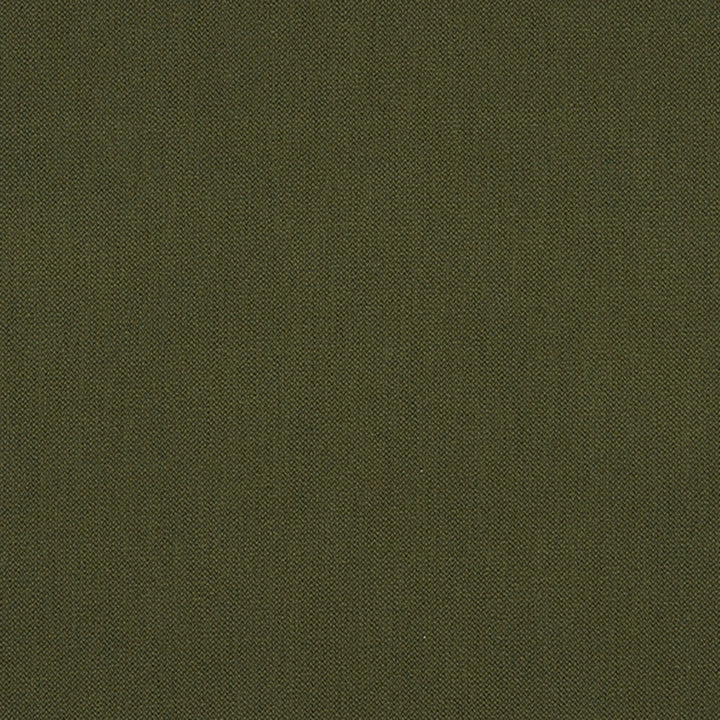 Ezra 78J7031 by JF Crypton Designer Fabric Crypton Binder 100% Polyester Taiwan 50000 Horizontal: and Vertical: 54 - Swanky Fabrics -
