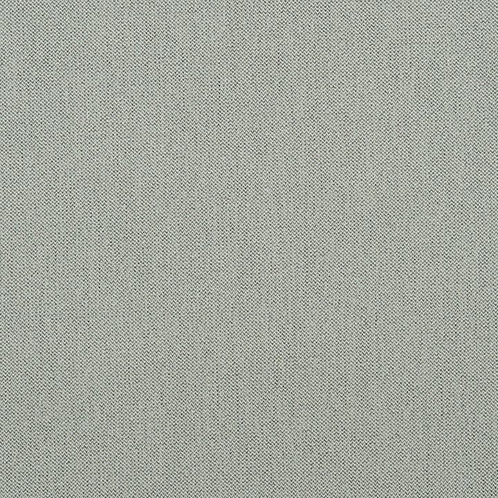 Ezra 95J7031 by JF Crypton Designer Fabric Crypton Binder 100% Polyester Taiwan 50000 Horizontal: and Vertical: 54 - Swanky Fabrics -