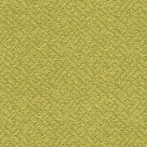 Easy Street Grass by Crypton Designer Fabric