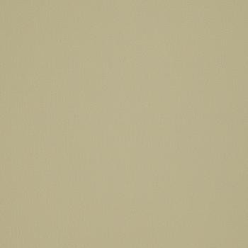 Element Gargoyle EEL-007 by Burch Designer Fabric our website for purchase 100% Polyurethane USA or Asia Water-based cleaning agents and foam may be used for cleaning. This fabric may also be cleaned with mild, water-free solvents. Cleaning by a professional cleaning service is recommended. Horizontal: - and Vertical: - 54" - Swanky Fabrics -