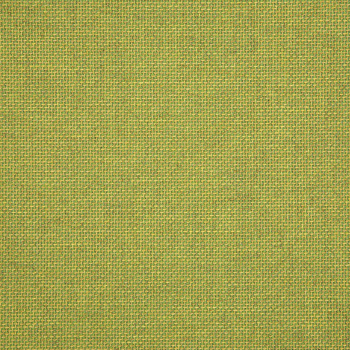 16005-0013 Essential Lime by Sunbrella Designer Fabric Cushion Furniture Drapery Fabrics > Sunbrella Specialty Weaves 100% Acrylic USA or Imported n/a 54" - Swanky Fabrics -
