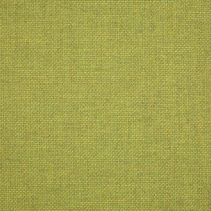 16005-0013 Essential Lime by Sunbrella Designer Fabric