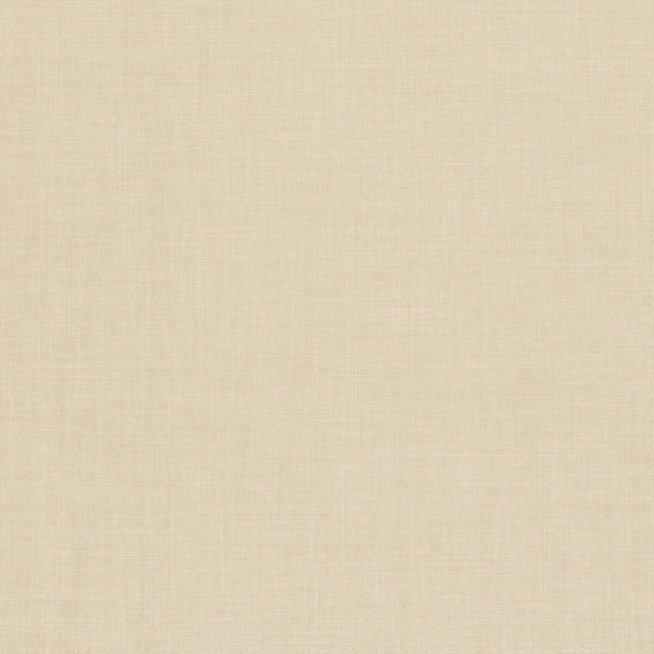 Linoso Buff by Clarke And Clarke Designer Fabric CLARKE & CLARKE LINOSO II POLYESTER - 100% China HEAVY Horizontal: 0 and Vertical: 0 58 - Swanky Fabrics -