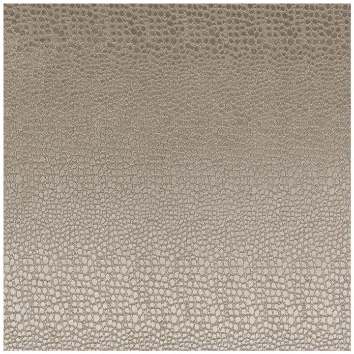 Pulse Ash by Clarke And Clarke Designer Fabric CLARKE & CLARKE TEMPO VELVETS POLYESTER - 100% China HEAVY Horizontal: 2.56 and Vertical: 8.66 56 - Swanky Fabrics -