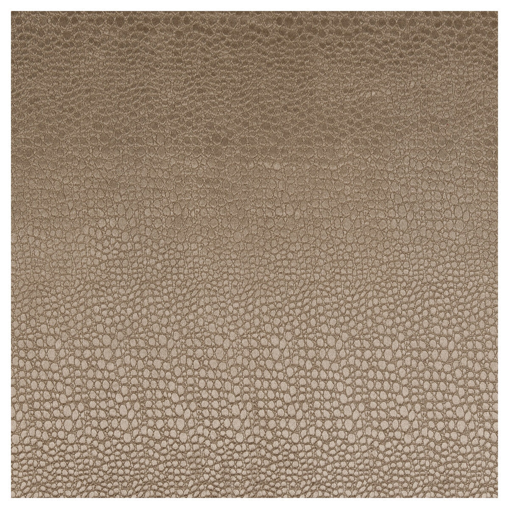 Pulse Taupe by Clarke And Clarke Fabric Clarke And Clarke Fabric Pulse TaupeFabric CLARKE & CLARKE TEMPO VELVETS POLYESTER - 100% China </p><p>Repeat: H: 2.56, V: 8.66 56 - Fabric Carolina -