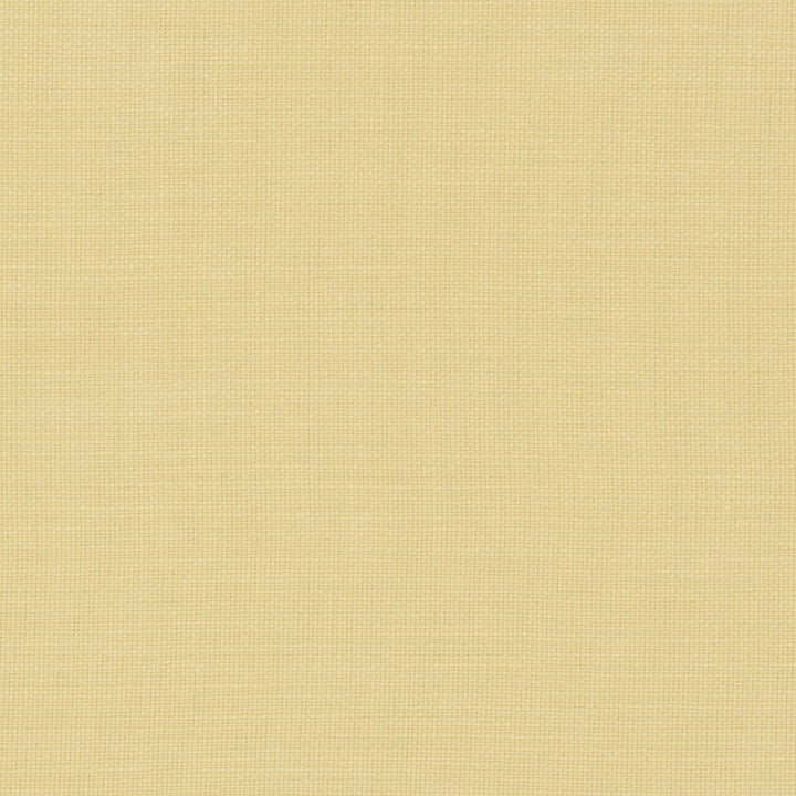 Nantucket Corn by Clarke And Clarke Designer Fabric CLARKE & CLARKE NANTUCKET COTTON - 100% India HEAVY Horizontal: 0 and Vertical: 0 55 - Swanky Fabrics -