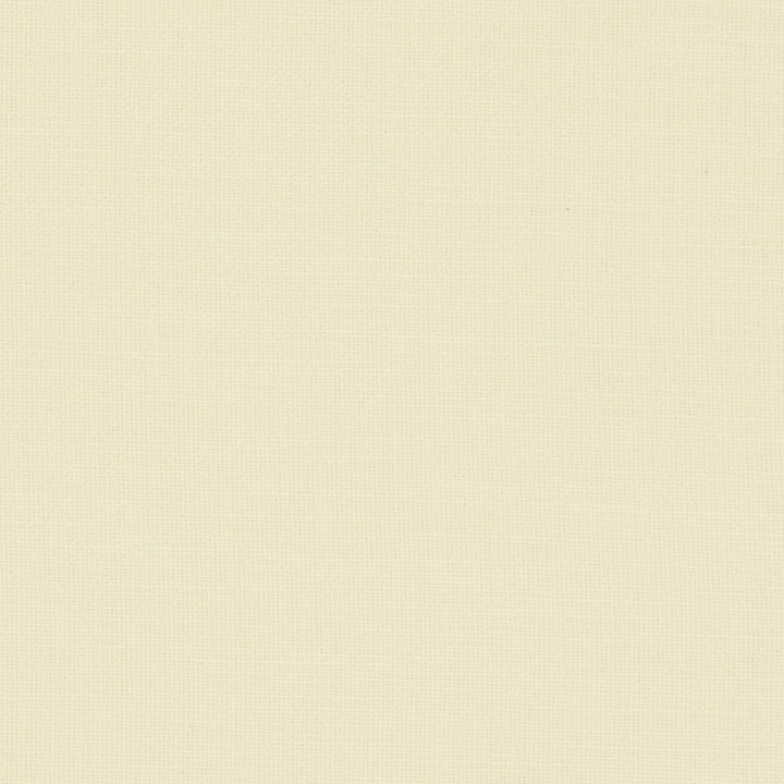 Nantucket Cream by Clarke And Clarke Designer Fabric CLARKE & CLARKE NANTUCKET COTTON - 100% India HEAVY Horizontal: 0 and Vertical: 0 55 - Swanky Fabrics -