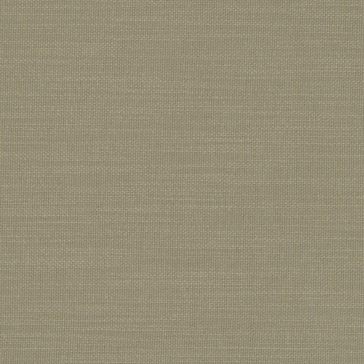 Nantucket Eucalyptus by Clarke And Clarke Designer Fabric CLARKE & CLARKE NANTUCKET COTTON - 100% India HEAVY Horizontal: 0 and Vertical: 0 55 - Swanky Fabrics -