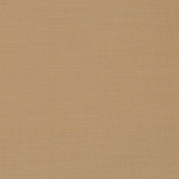 Nantucket Honey by Clarke And Clarke Designer Fabric CLARKE & CLARKE NANTUCKET COTTON - 100% India HEAVY Horizontal: 0 and Vertical: 0 55 - Swanky Fabrics -