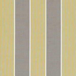 Chatburn Citrus by Clarke And Clarke Designer Fabric