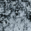 Crush Ash by Clarke And Clarke Designer Fabric