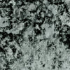 Crush Sage by Clarke And Clarke Designer Fabric
