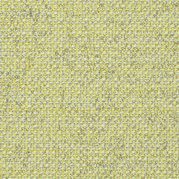 Casanova Acacia by Clarke And Clarke Designer Fabric CLARKE & CLARKE CASANOVA POLYESTER - 65%;VISCOSE - 35% Turkey HEAVY Horizontal: 0 and Vertical: 0 54 - Swanky Fabrics -