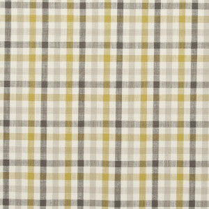 Hatfield Acacia by Clarke And Clarke Designer Fabric