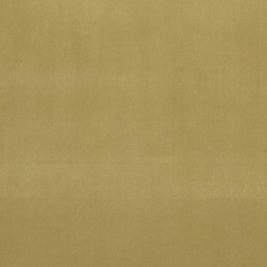 Alvar Olive by Clarke And Clarke Designer Fabric