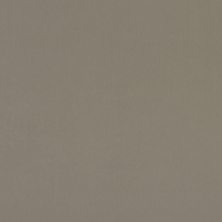 Alvar Taupe by Clarke And Clarke Designer Fabric CLARKE & CLARKE ALVAR POLYESTER - 100% China HEAVY Horizontal: 0 and Vertical: 0 57 - Swanky Fabrics -