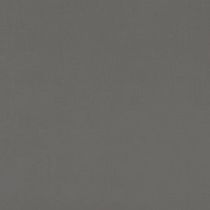 Alvar Ash by Clarke And Clarke Designer Fabric