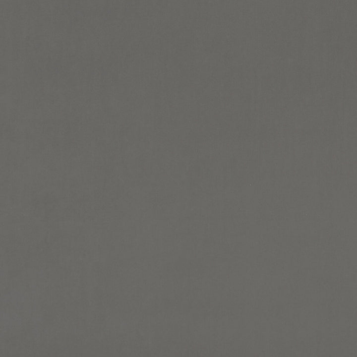 Alvar Ash by Clarke And Clarke Fabric Clarke And Clarke Fabric Alvar AshFabric CLARKE & CLARKE ALVAR POLYESTER - 100% China </p><p>Repeat: H: 0, V: 0 57 - Fabric Carolina -