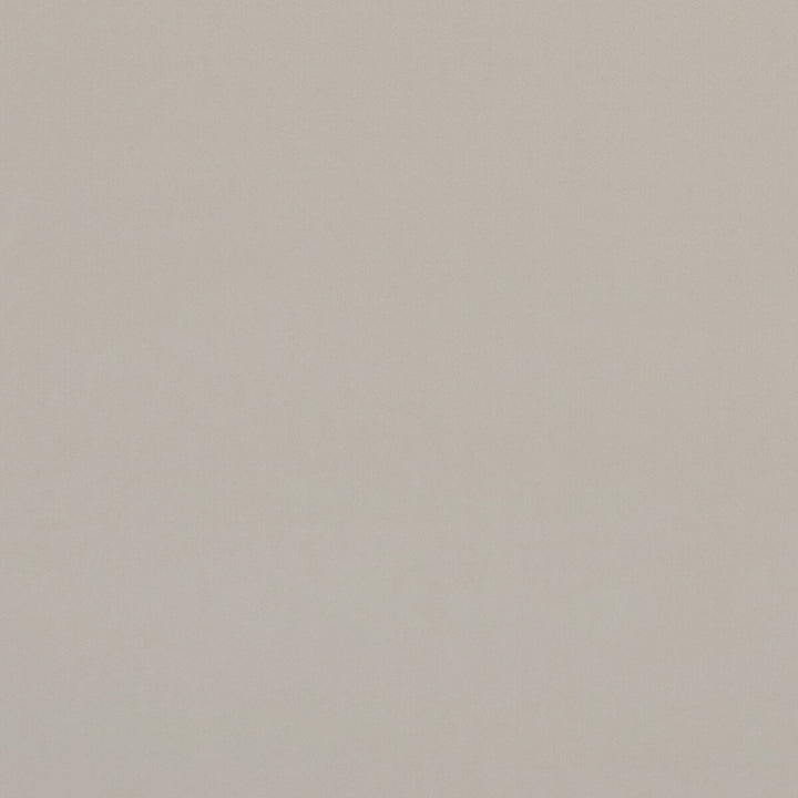 Alvar Birch by Clarke And Clarke Designer Fabric CLARKE & CLARKE ALVAR POLYESTER - 100% China HEAVY Horizontal: 0 and Vertical: 0 57 - Swanky Fabrics -