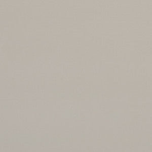 Alvar Birch by Clarke And Clarke Designer Fabric