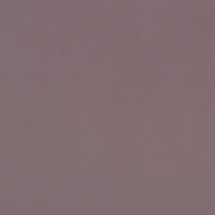 Alvar Blush by Clarke And Clarke Designer Fabric CLARKE & CLARKE ALVAR POLYESTER - 100% China HEAVY Horizontal: 0 and Vertical: 0 57 - Swanky Fabrics -