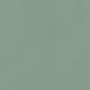 Alvar Celadon by Clarke And Clarke Designer Fabric