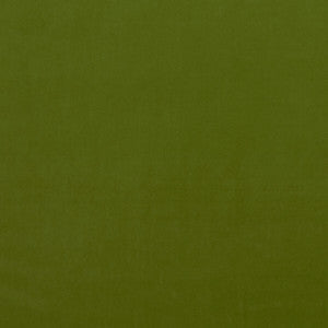 Alvar Citron by Clarke And Clarke Designer Fabric